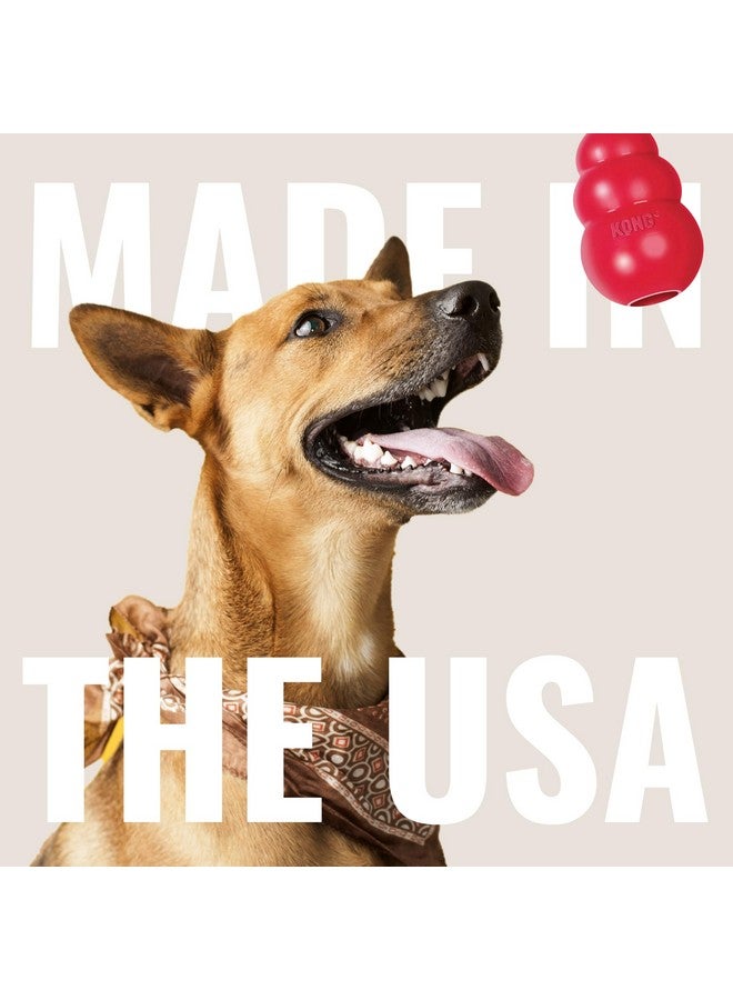 كونج لعبة كونغ فلاير - لعبة متينة للكلاب للعب في الهواء الطلق - قرص طائر من المطاط الطبيعي، لعبة للكلاب للعب والإحضار - قرص أكثر أمانًا لنشاط صحي - للكلاب الصغيرة - Image 5