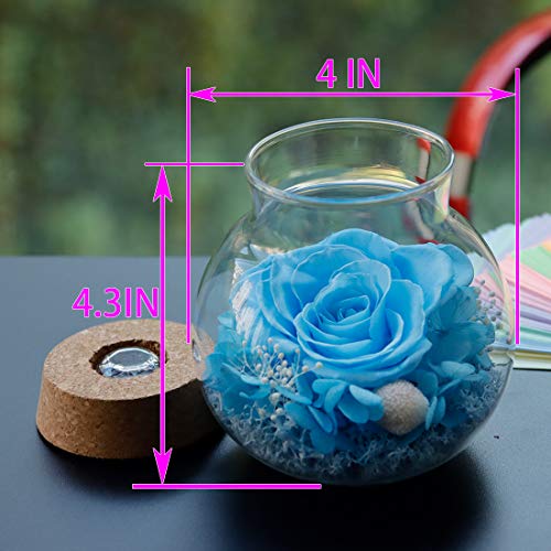 roliys Preserved Real Roses with Colorful Mood Light Wishing BottleEternal RoseNever Withered Flowers Christmas Anniversary Valentines Mothers Daya Gifts for Women 43inch 1pcsLight Blue - Image 3
