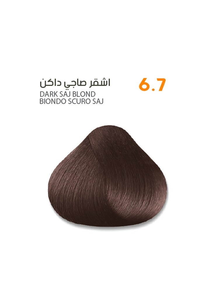 SAVOO Hair Color Cream #6.7 Dark Saj Blonde – Permanent Hair Dye with  Oil Plex & Botanical Extracts | 100ml | Warm Dark Blonde with Golden-Beige Depth | 100% Grey Coverage - Image 1