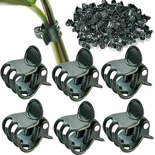 AccEncyc 100 Pcs Plant Clips Orchid Clips Plants Orchid Support Clips Flower Vine Clips for Supporting Stems Vines Stalks Climbing Plant Grow Upright - Image 1