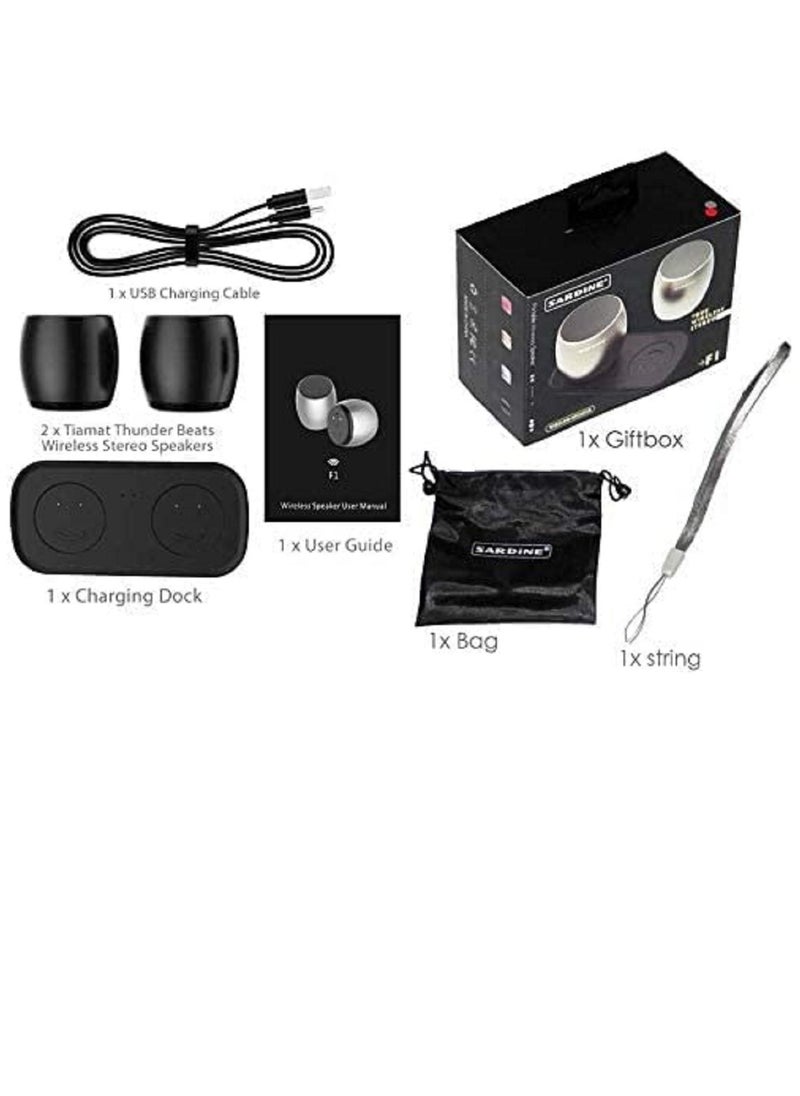 Generic - Sardine F1 Aluminium Alloy Stereo Wireless Bluetooth Speaker with Charging Dock, Support Hands-Free (Real TWS Machine) - Image 1