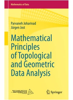 Mathematical Principles of Topological and Geometric Data Analysis 