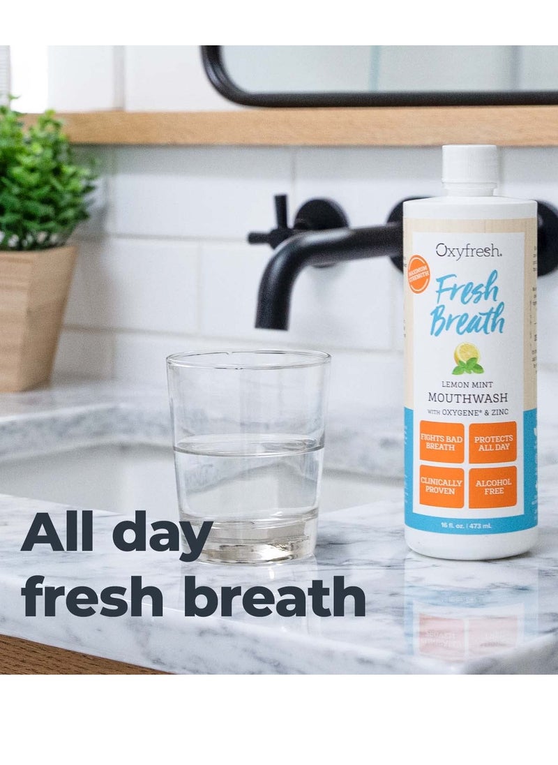 Oxyfresh - Oxyfresh Premium Lemon Mint Fresh Breath Mouthwash – Oral Rinse for Bad Breath – SLS & Fluoride Free Mouthwash – Alcohol Free, Gentle Non Burning Mouthwash with Xylitol & Essential Oils, 16 oz - Image 1