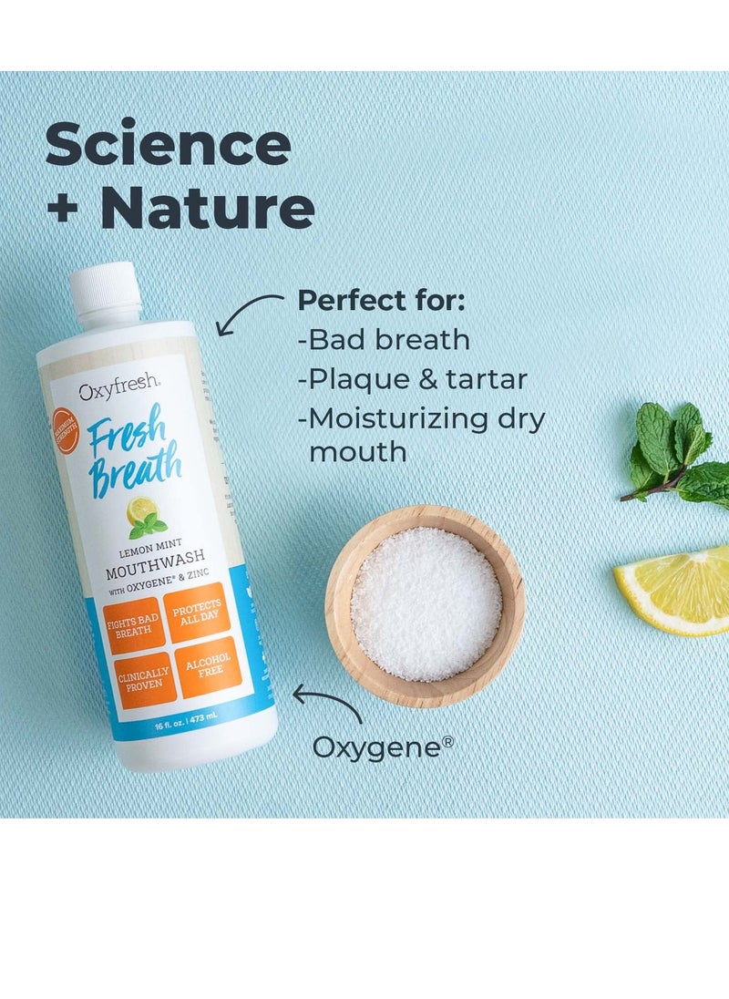 Oxyfresh - Oxyfresh Premium Lemon Mint Fresh Breath Mouthwash – Oral Rinse for Bad Breath – SLS & Fluoride Free Mouthwash – Alcohol Free, Gentle Non Burning Mouthwash with Xylitol & Essential Oils, 16 oz - Image 1