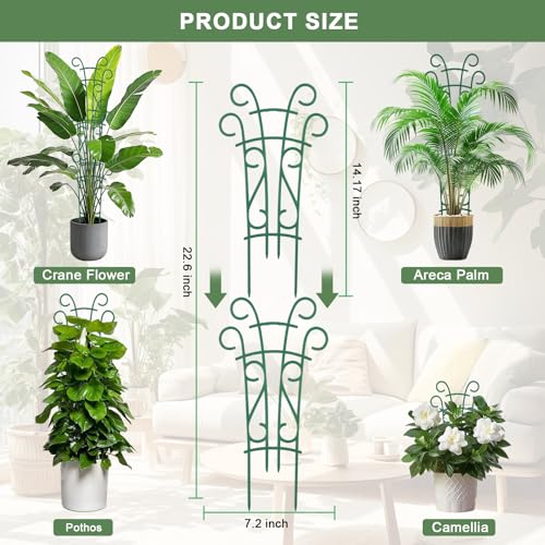 Qaobo 6 Pack Indoor Plant Trellis for Potted Plants, Stackable Garden Trellis for Climbing Plants Outdoor, Small Trellis for Houseplants Rose Hoya Pothos Plant Climber Support - Image 2