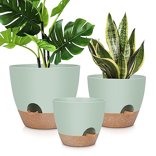 YNNICO 12 10 9 Large Self Watering Plant Pots 3 Pack Flower Pots Planters with Multi Mesh Drainage Holes for Indoor Outdoor Garden Plants and Flowers