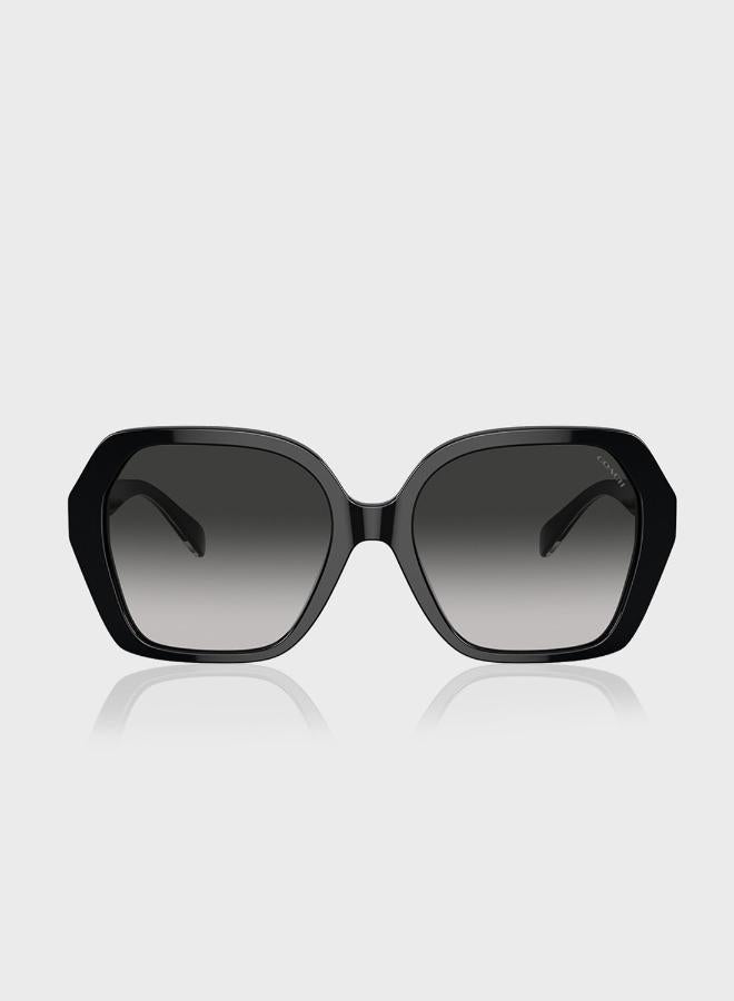 كوتش نظارات شمسية كبيرة الحجم - Image 4