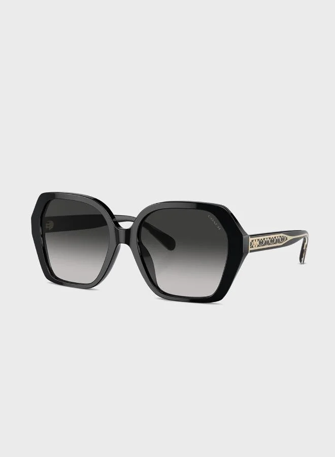 COACH 0Hc8404U Oversized Sunglasses