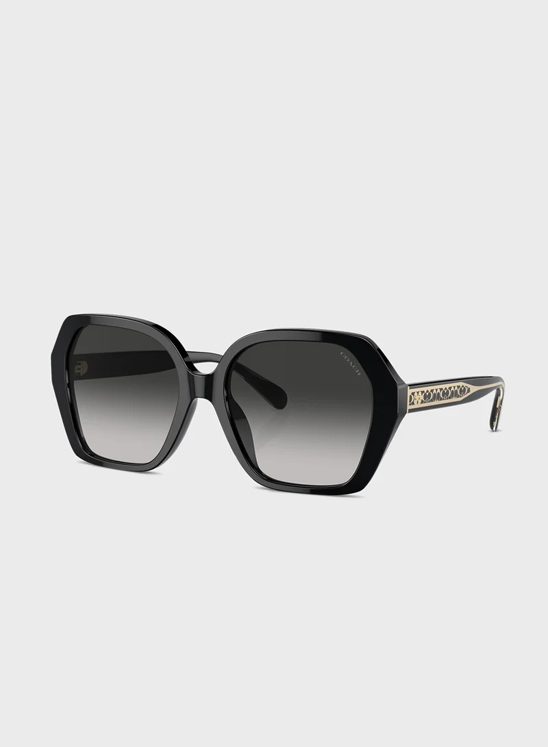 كوتش 0Hc8404U Oversized Sunglasses
