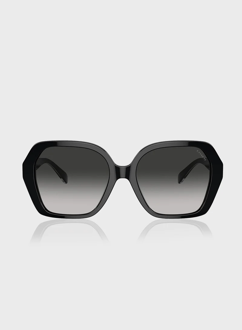 COACH 0Hc8404U Oversized Sunglasses