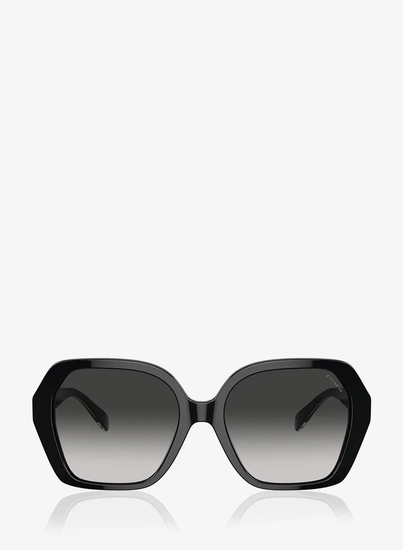Coach  0Hc8404U Oversized Sunglasses for Women | Best Price UAE