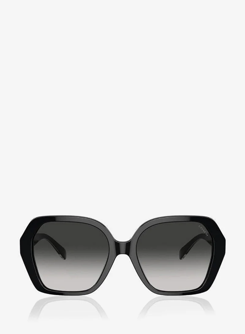 Coach  0Hc8404U Oversized Sunglasses for Women | Best Price UAE