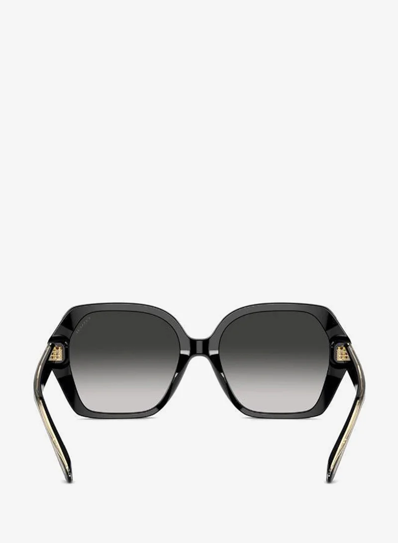 Coach  0Hc8404U Oversized Sunglasses for Women | Best Price UAE
