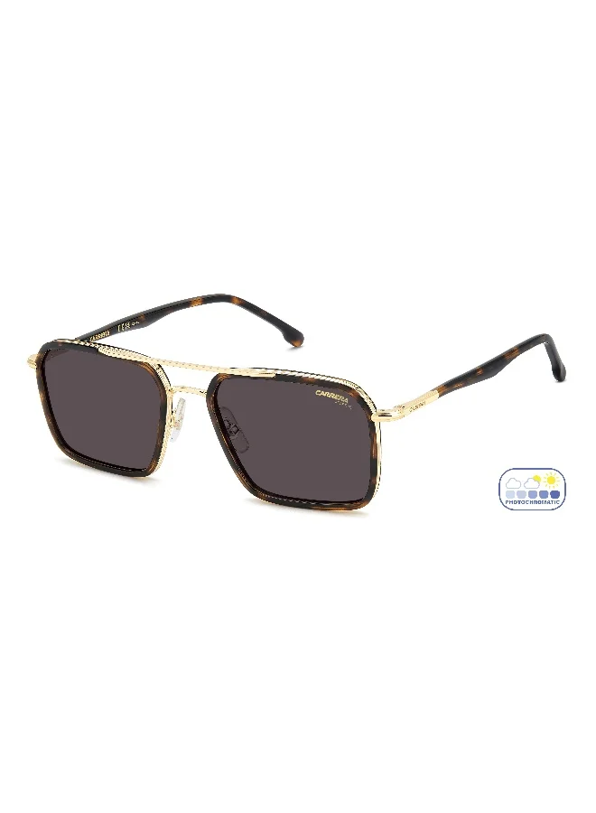 كاريرا CARRERA Sunglasses CARRERA 362/S Gold