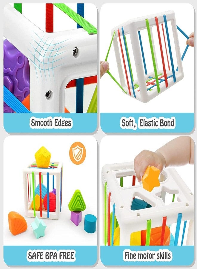 Dorytoys Dorytoy Montessori Sensory Shape Sorter Cube for Toddlers, Elastic Band Activity Toy with 6 Colorful Geometric Blocks, Fine Motor Learning Toy for Ages 1-3 - Image 5