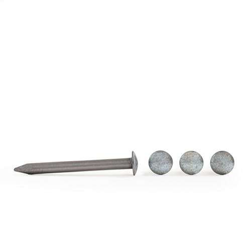 Pinewood Pro Official Derby Axles | Set of Four | Polished and Graphite Coated | Imperfections Removed | Angled Head to Reduce Friction | Graphite Coating Lasts Through Multiple Races - Image 2