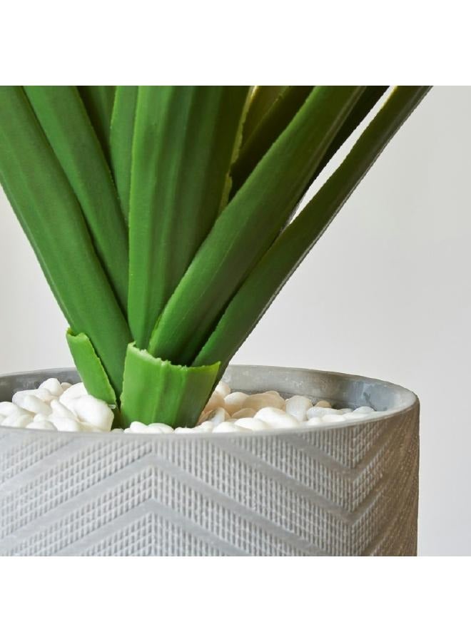 LOFT ARTIF,ALOE VERRA,D44XH47CMS,GREEN,CERAMIC-145025 - Image 4