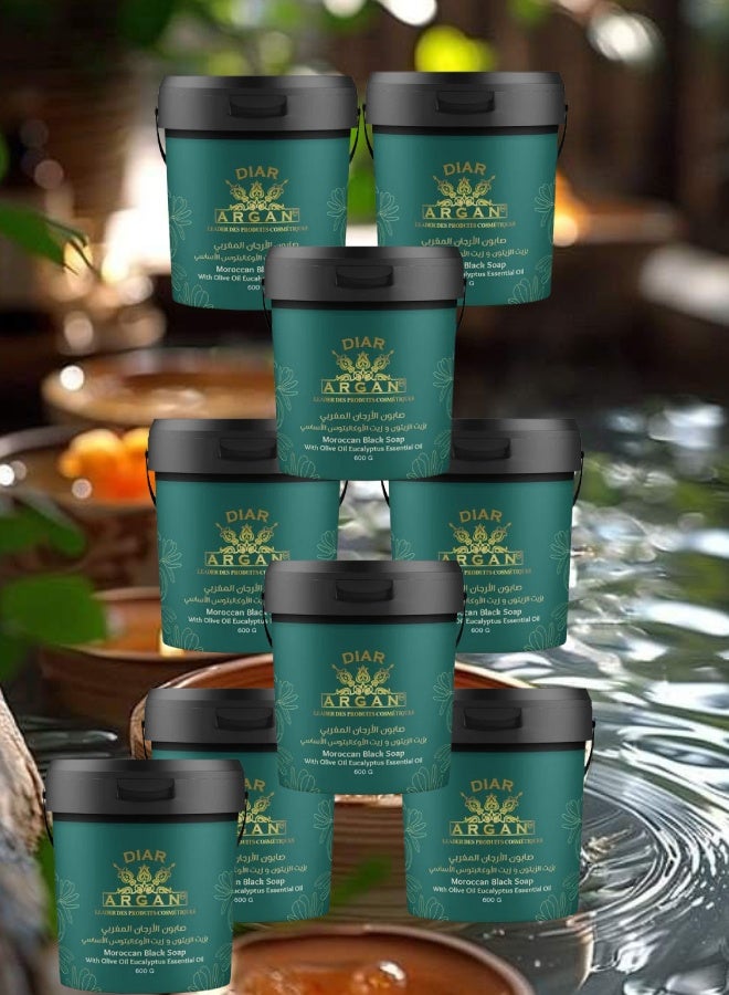 Diar Argan 9 Pieces Moroccan Argan Soap with Olive Oil and Eucalyptus Oil 600grams - Image 1