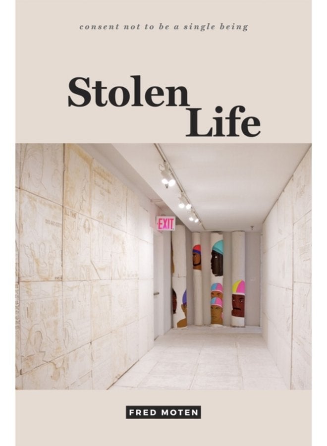Stolen Life - Paperback