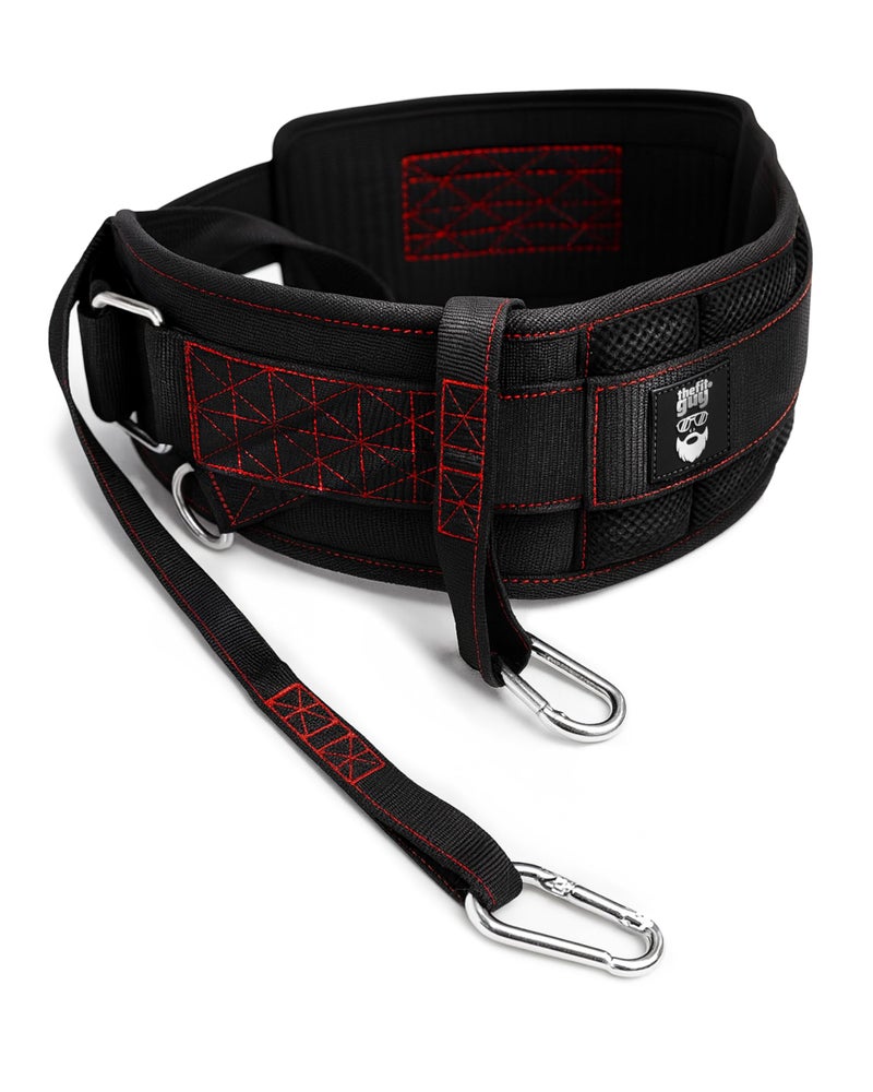 THEFITGUY Dip Belt with Strap â€“ No Slip Secure Closure | 250lb Heavy Duty | Belt Squat Attachment, Weighted Dips, Pull Ups | Structured Back Support | 45-Degree Angle Rings, 2 Snap Hooks Included - Image 1