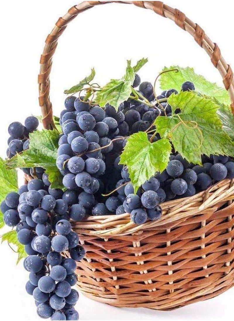 100Pcs Grape Seeds