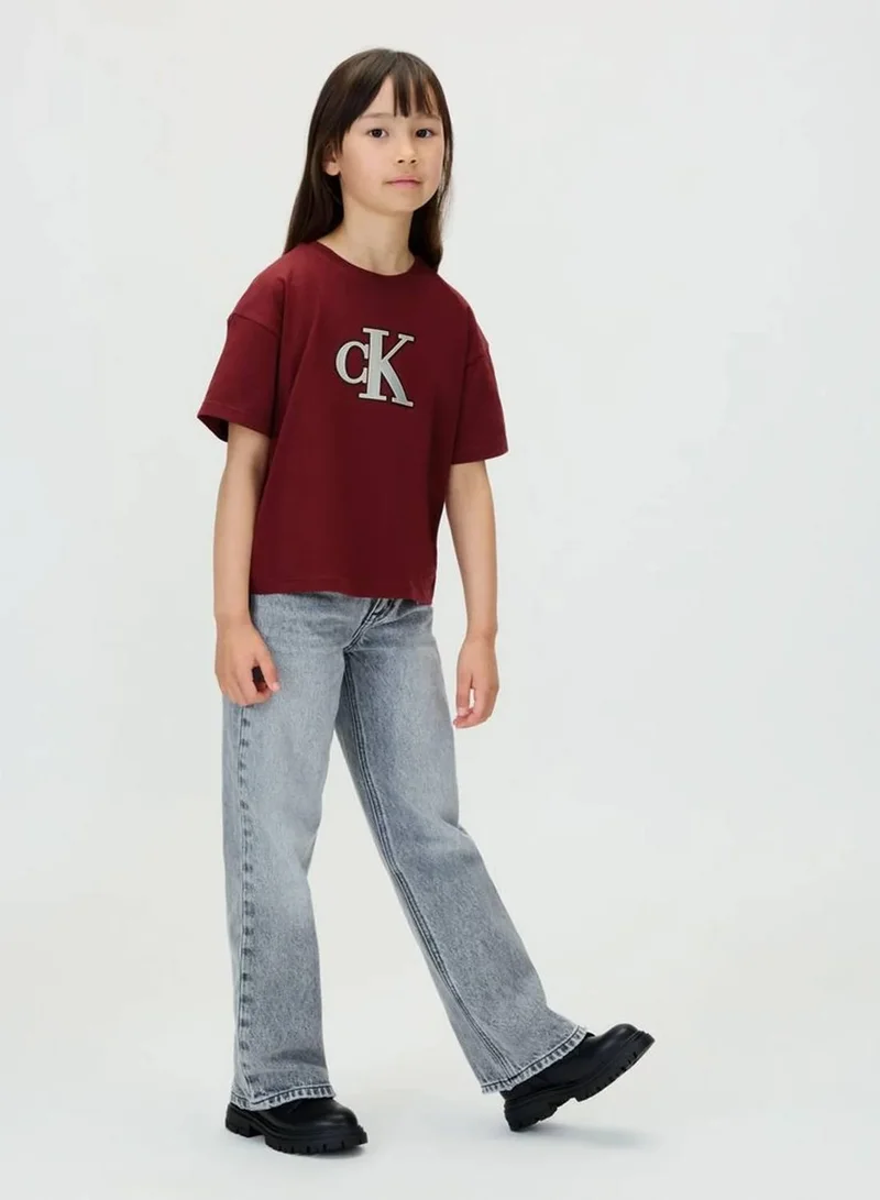 Calvin Klein Jeans Raspberry Chocolate Logo T-Shirt for Women | Best Price UAE