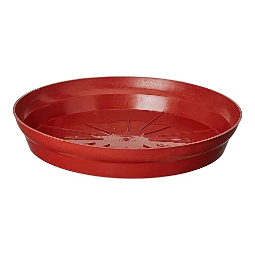 WingDong Bottom Tray [ Saucer, Plate ] Suitable for 8 inch, 10 inch, Round Plastic Pot, Terracotta Color Set of 10 Pieces (Plate Brown - 10 Pcs) - Image 3