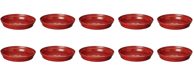 WingDong Bottom Tray [ Saucer, Plate ] Suitable for 8 inch, 10 inch, Round Plastic Pot, Terracotta Color Set of 10 Pieces (Plate Brown - 10 Pcs) - Image 2