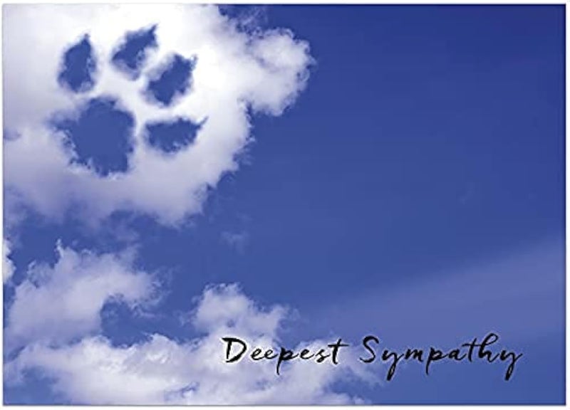 25 Pet Sympathy Cards Paw Print Cloud Design 26 White Envelopes FSC Mix