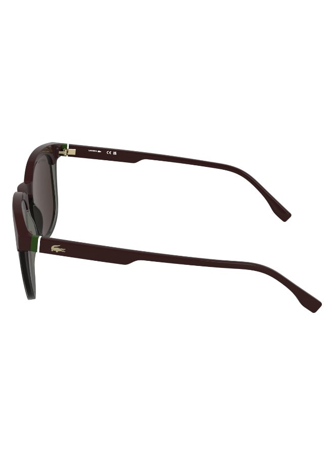 LACOSTE FULL RIM INJECTED LACOSTE SUNS L6073S 5219 (601) BURGUNDY/ TRANSPARENT GREY - Image 4
