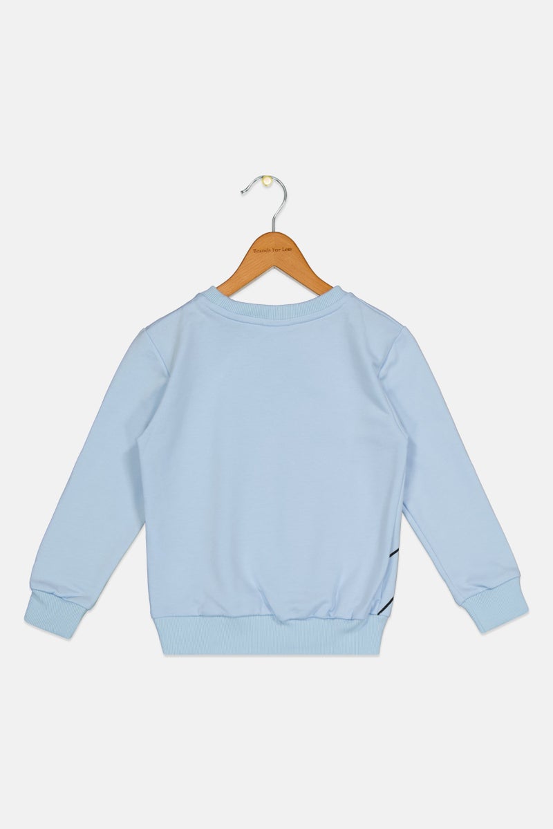 DC Comics Toddlers Boy Crew Neck Long Sleeve Batman Sweatshirt, Light Blue - Image 2