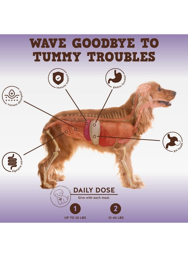 Jack&Pup Probiotic Chews For Dogs  Dog Probiotic Chews Small And Medium  ProDigest Bark Buddies (Up To 40 Lbs) Puppy Probiotic Dog Chews, Pet Probiotics For Dogs  Probiotics For Puppies (60Ct) - Image 2