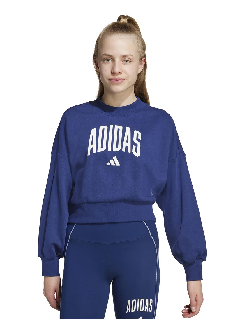 Adidas Kids Seasonals Essential Colegiate Typography Hoodie