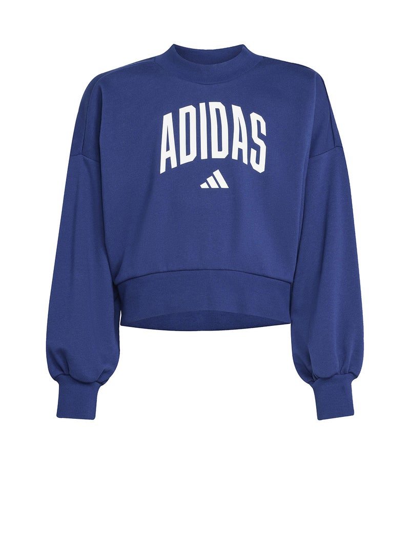 Adidas Kids Seasonals Essential Colegiate Typography Hoodie  - Image 5