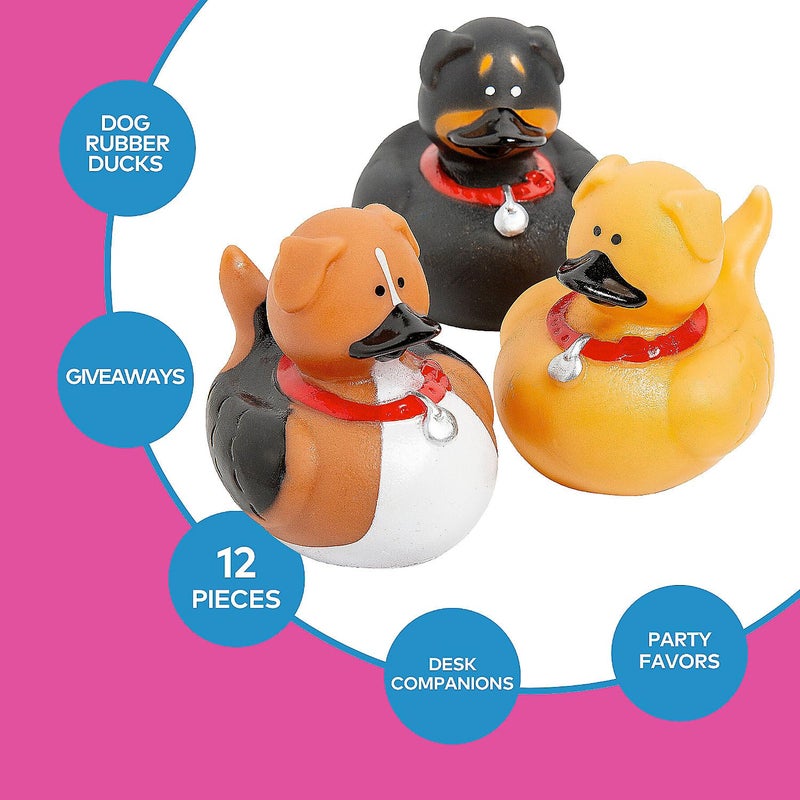 Fun Express Dog Rubber Duckies - Party Favors and Giveaways (Set of 12 Ducks) - Image 3