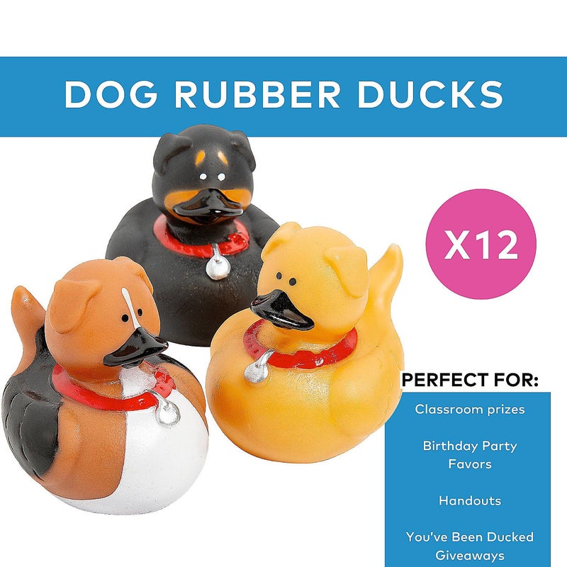 Fun Express Dog Rubber Duckies - Party Favors and Giveaways (Set of 12 Ducks) - Image 2
