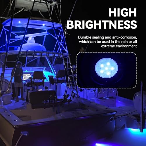 ULITECO Boat Courtesy Lights IP68 Waterproof Boat Interior Lights Marine Navigation Stern Courtesy Night Fishing Lighting Stainless Steel Marine LED Lighting for Pontoon Bass Sailboat4PCS Blue - Image 3
