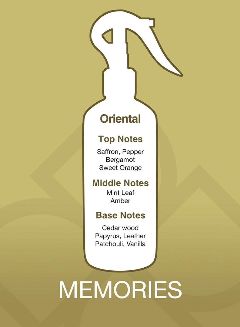 Essancy Memories – Aroma Mist Room Spray 300ml - Image 2