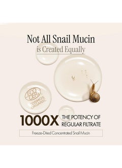 LABIOTTE LABIOTTE Premium Snail Mucin Cream | Korean Skin Care Moisturizer Face Cream for Women & Men w/ 60% Snail Mucin Essence | Hypoallergenic Face Moisturizer | Hydrating Moisturizer (1.69 fl oz)  - Image 3