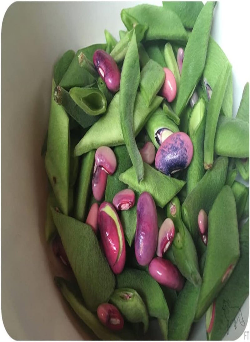 جي جوت بذور الفاصوليا (PKD) (فاصوليا سكارليت رانر، 30 بذرة) - Image 1