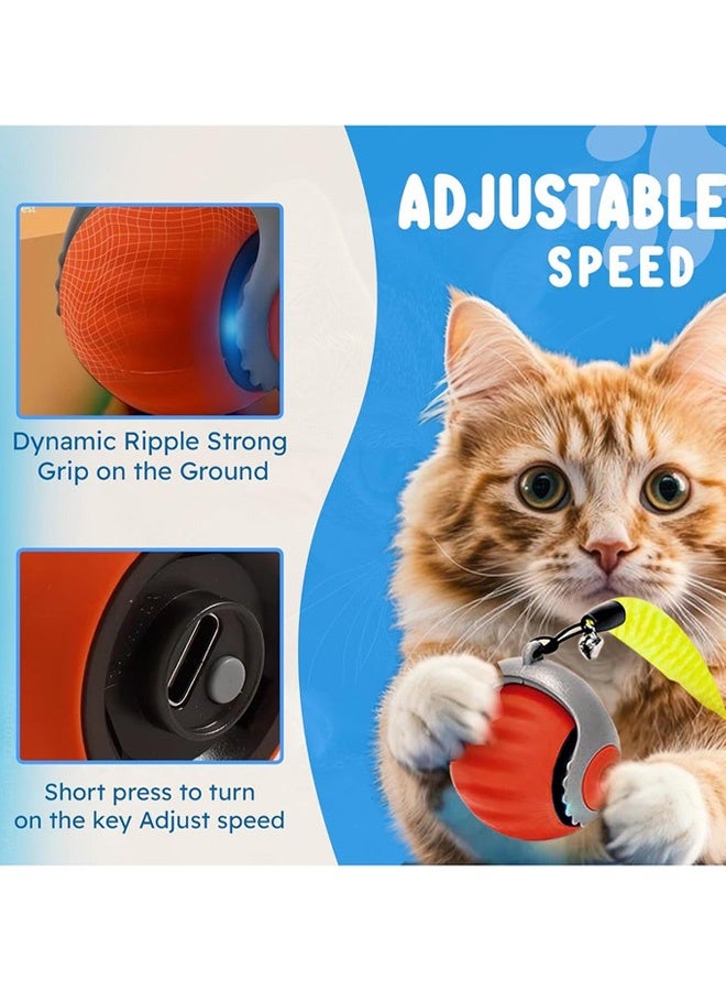 Interactive Cat Ball Speed Tail 3.0 Pet Toy Rolling Ball Interactive Toys 360° Smart Automatic Dog Kitten Toy USB Recharge Turbo Tail Electronic Bouncing Balls Orange Gift for Adult Cats Kittens Dog - Image 2