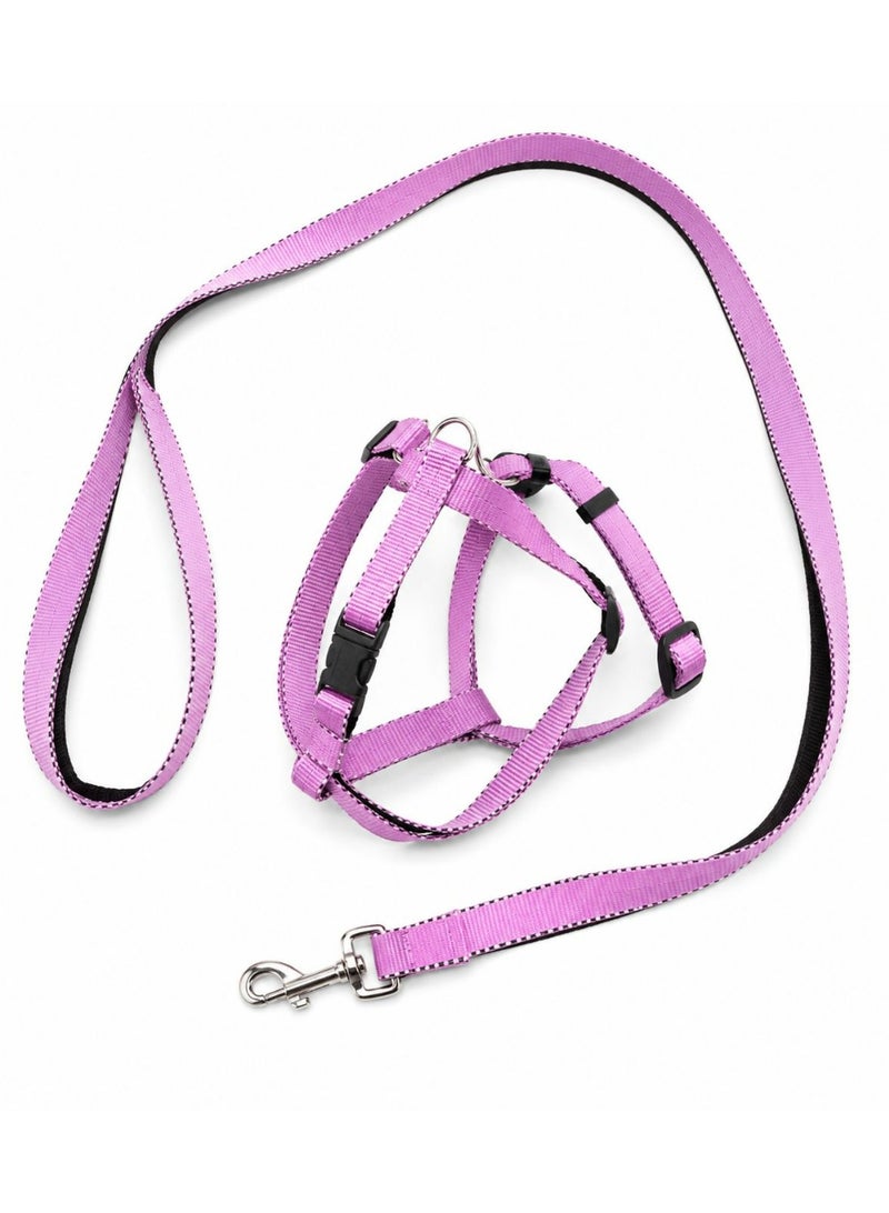 Nylon dog Harness and Leash Set, Purple, Adjustable with Metal Clip, for Medium-Large Dogs