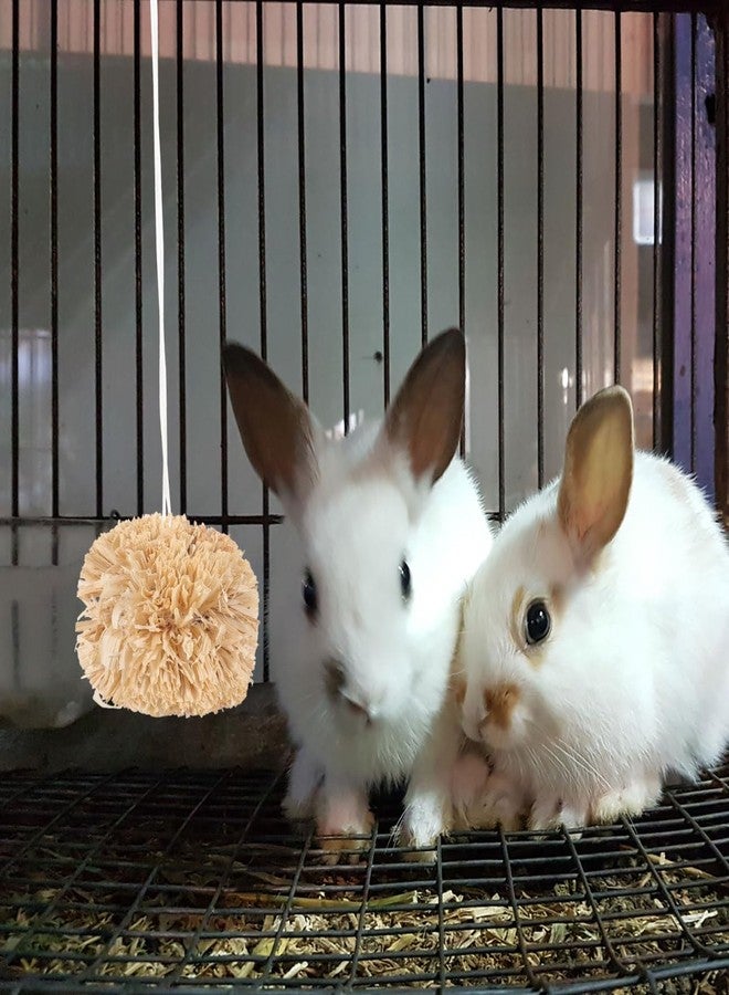 Luxshiny Bunny Chewing Balls 2-Pack Small Pet Molar Toys for Rabbits Guinea Pigs Hamsters Tooth Grinding Chew Treats 2.75 Inch - Image 4