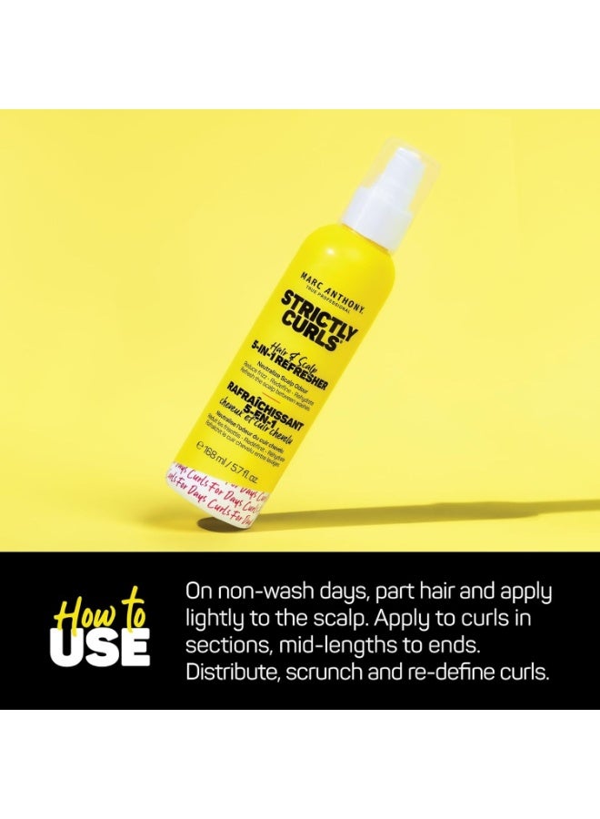 مارك أنتوني مثبت الشعر Strictly Curls للشعر المجعد، منعش 5 في 1 - تركيبة مغذية لفروة رأس وشعر رطب ومنتعش وصحي من الجذور إلى الأطراف - 5.7 أونصة سائلة - Image 5