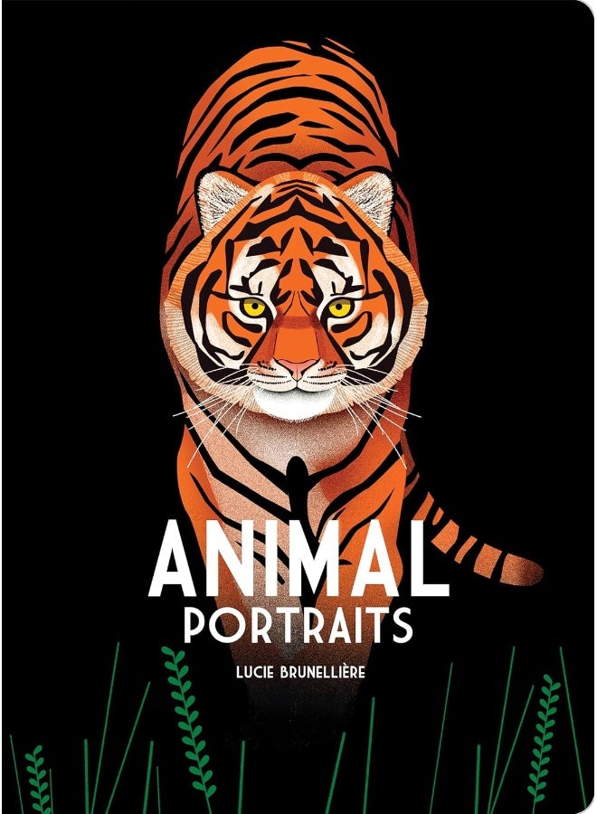 Animal Portraits 
