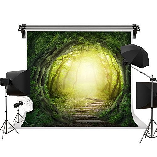 FHZON 10x10ft Dreamy Magical Backdrop Dream Fantasy Forest Photography Video Studio Photo Backdrop Props FH121 - Image 4