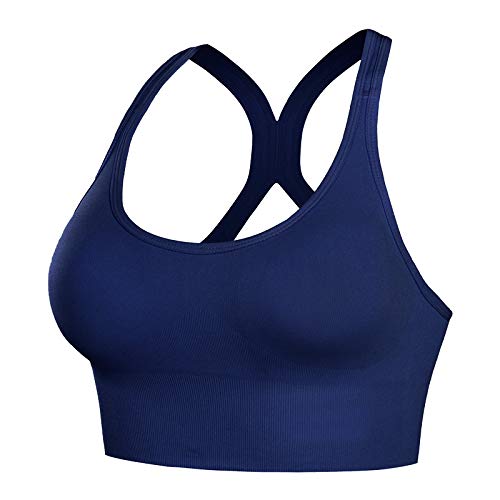 PLUMBURY Women's Nylon Blend Padded Sports Bra for Gym, Yoga, (Size M to XL) (M, BLUE183) - Image 1
