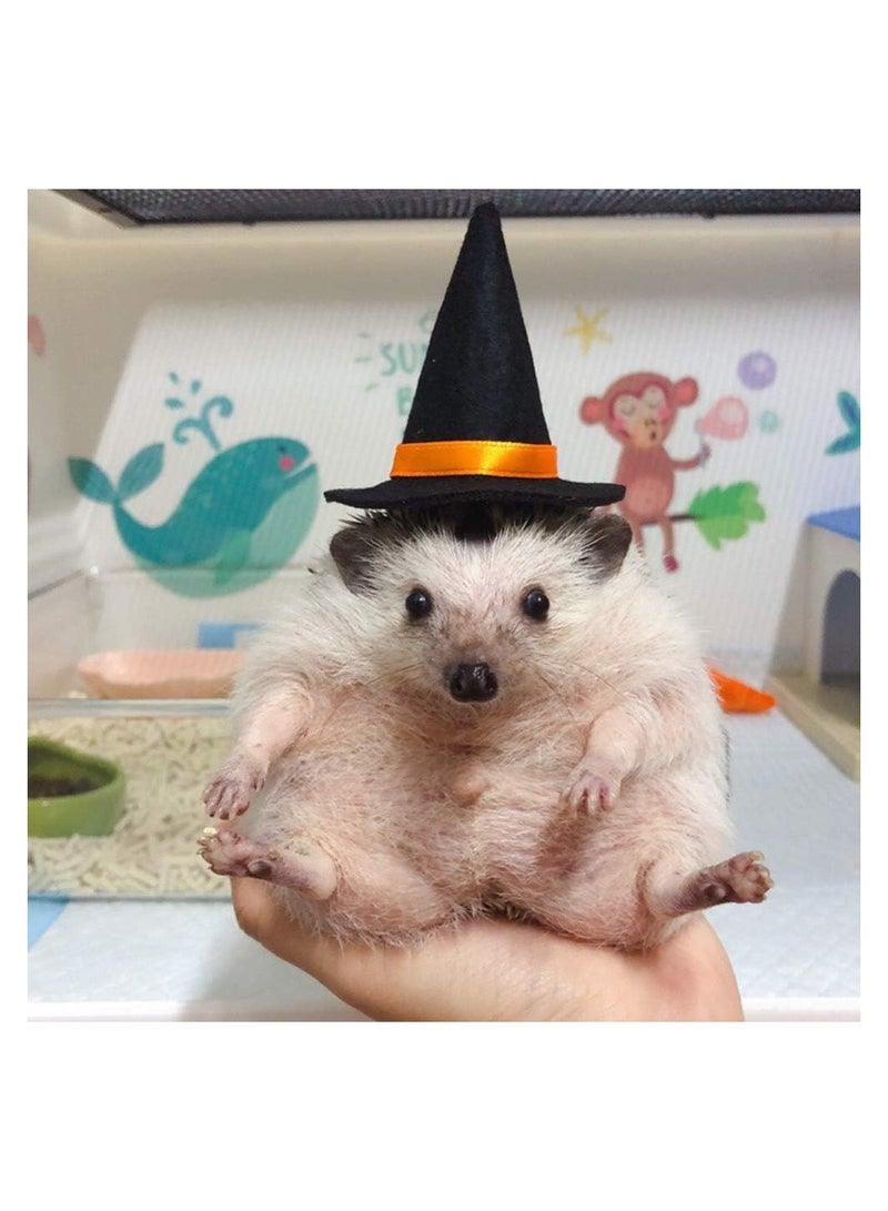 SOLARAE Bearded Dragon Hat Wizard Design, Lizard Halloween Witch Hat with Elastic Chin Strap, Halloween Wizard Hat Cosplay Reptile Apparel Outfit - Image 4