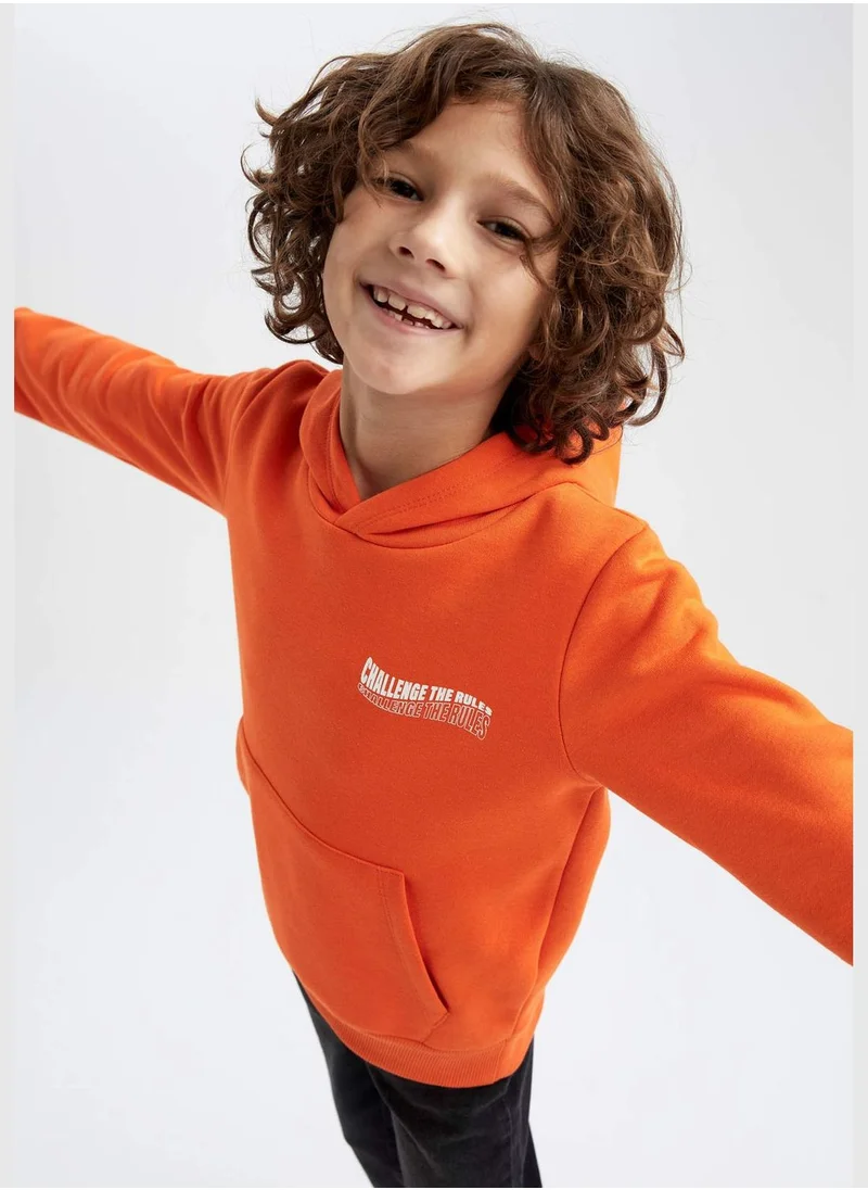 DeFacto Boy Hooded Long Sleeve Knitted Sweatshirt