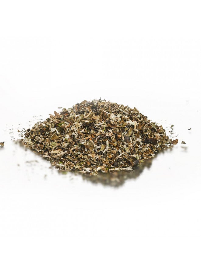 Siberian Treasure Iceland Moss, Wild Harvested, 2.65 OZ (75 Grams) Herbal Tea (Cetraria islandica)  - Image 3